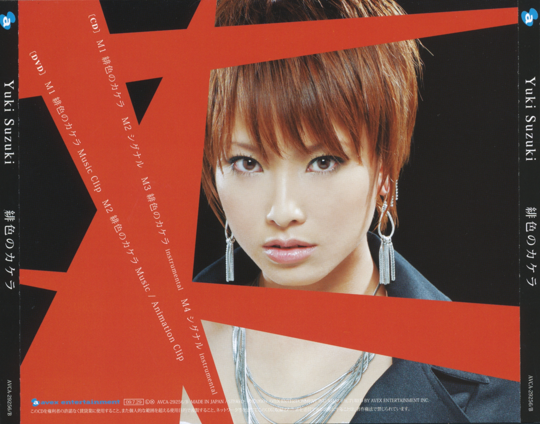Case Cover Back Outer.jpg